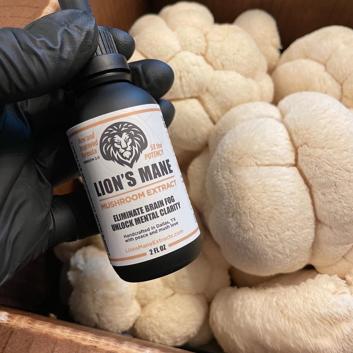 Lion's Mane Extracts — Real Product with Lion's Mane Mushrooms